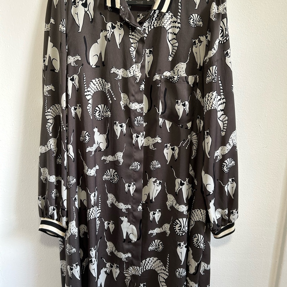 Zara dress